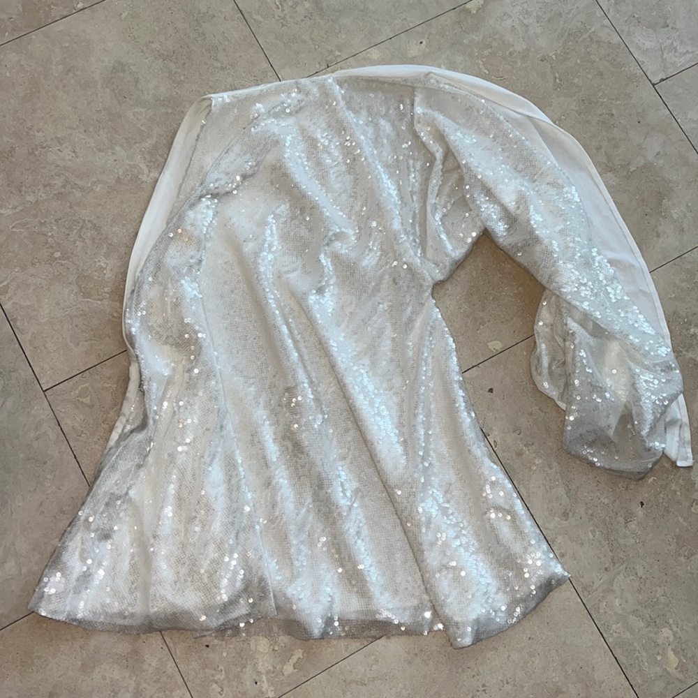 Paula Knorr Liquid Sequin Tunic! Worn once! - Picture 1 of 11